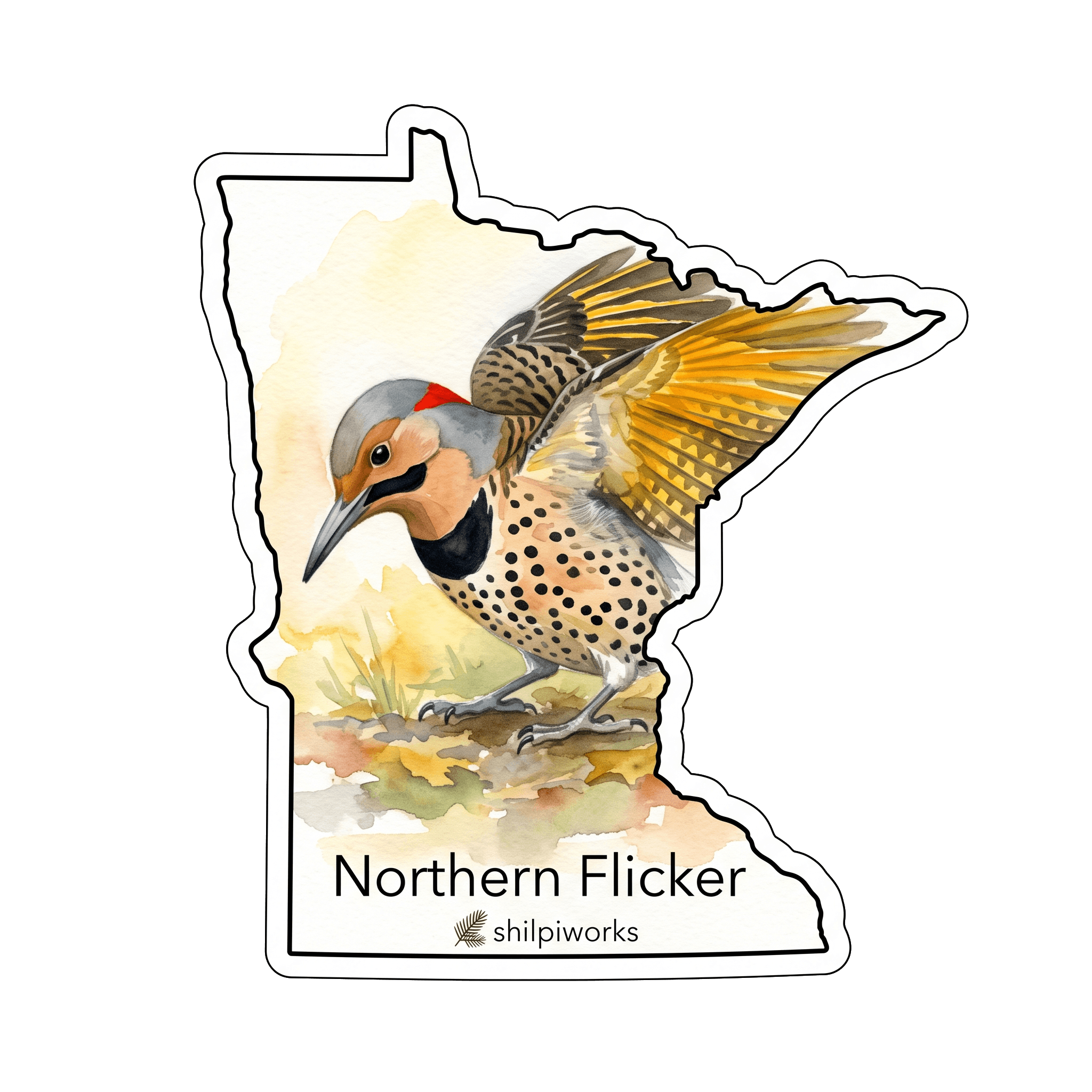 Northern Flicker: Yellow-Shafted Ant Hunter
