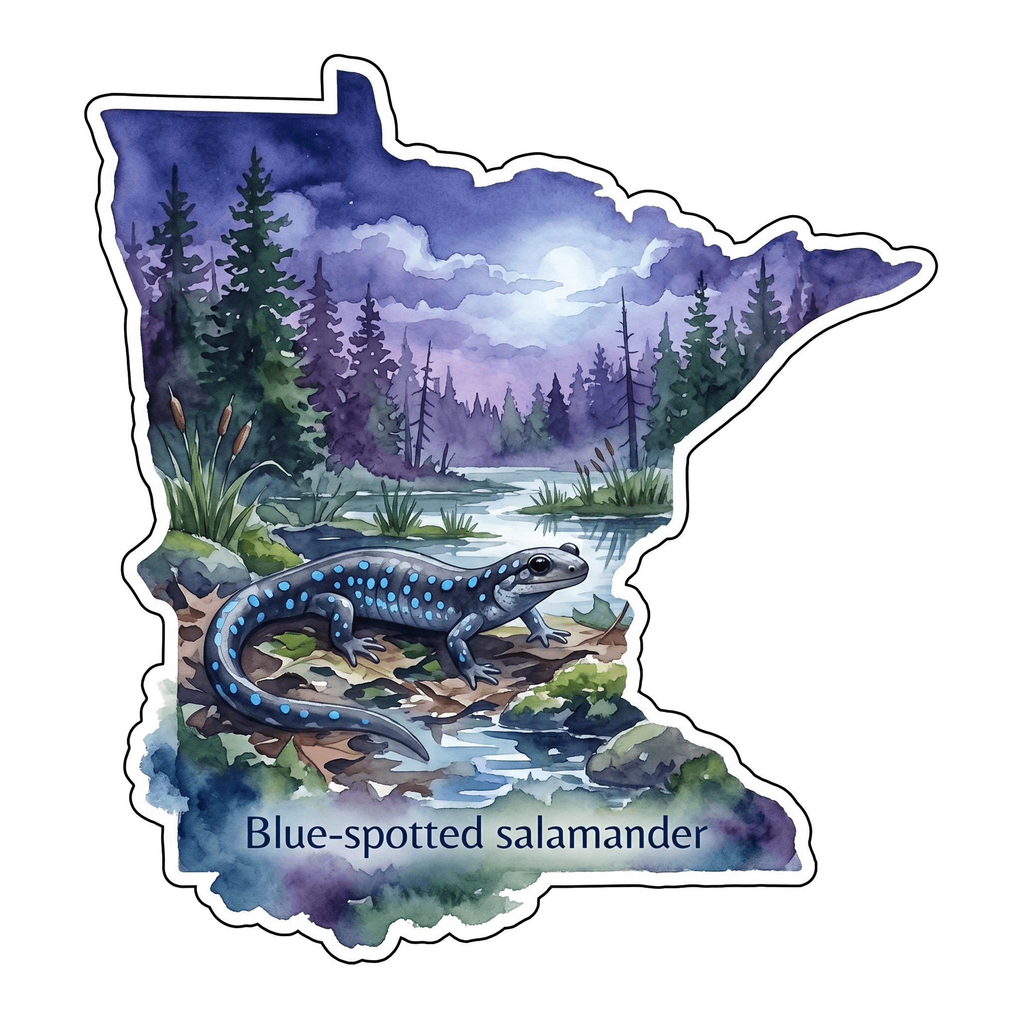 Blue-spotted salamander: Vernal Pool Migrant