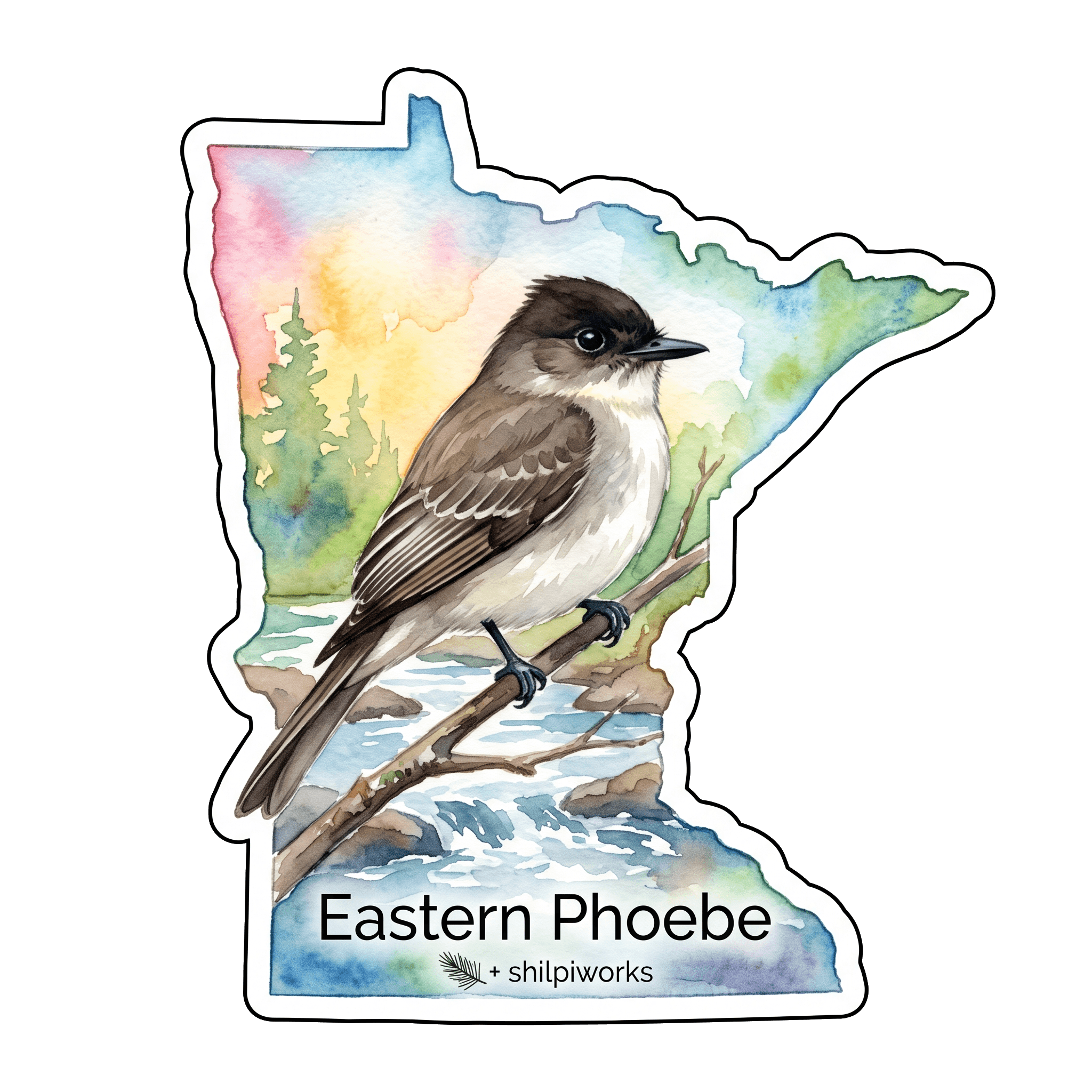 Eastern Phoebe: Tail-Pumping Flycatcher