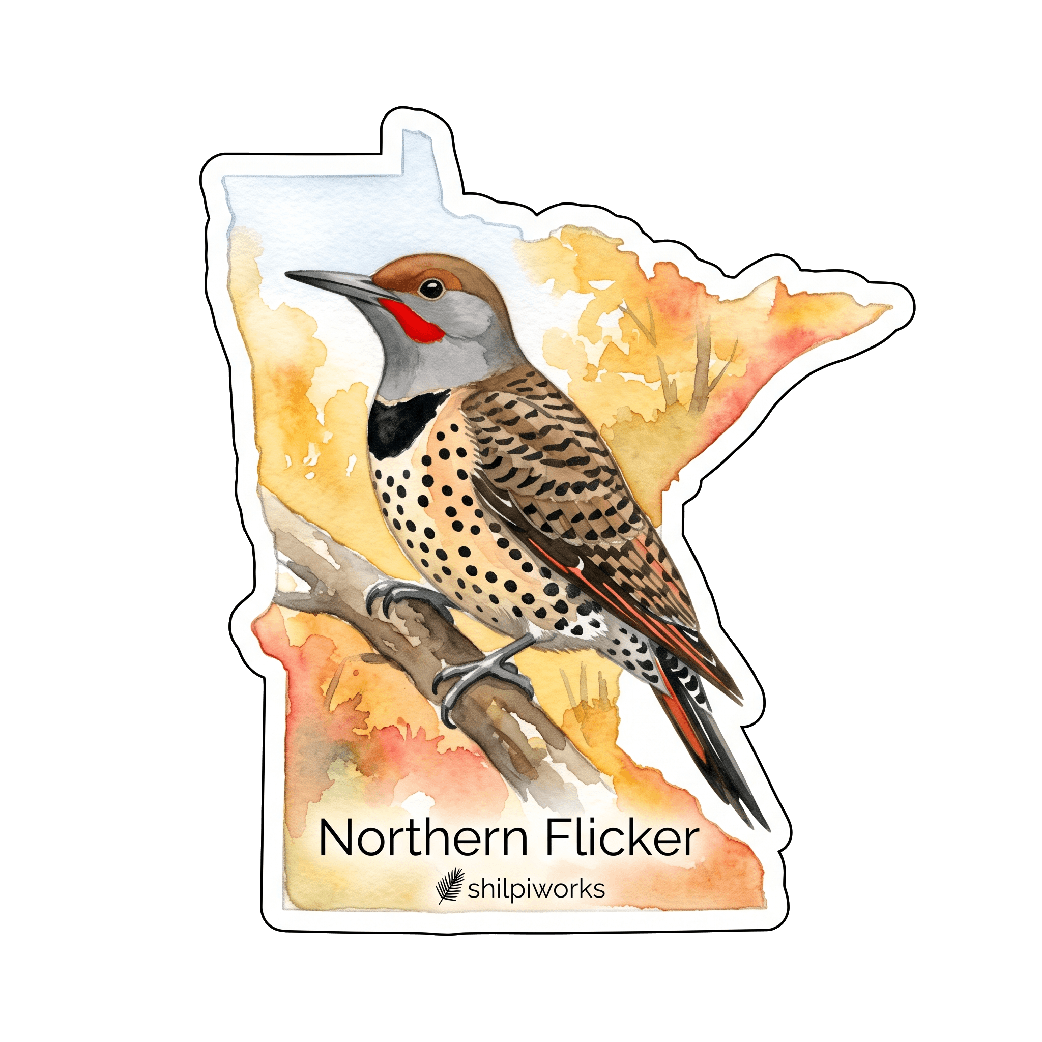 Northern Flicker: Red-Shafted Ant Hunter
