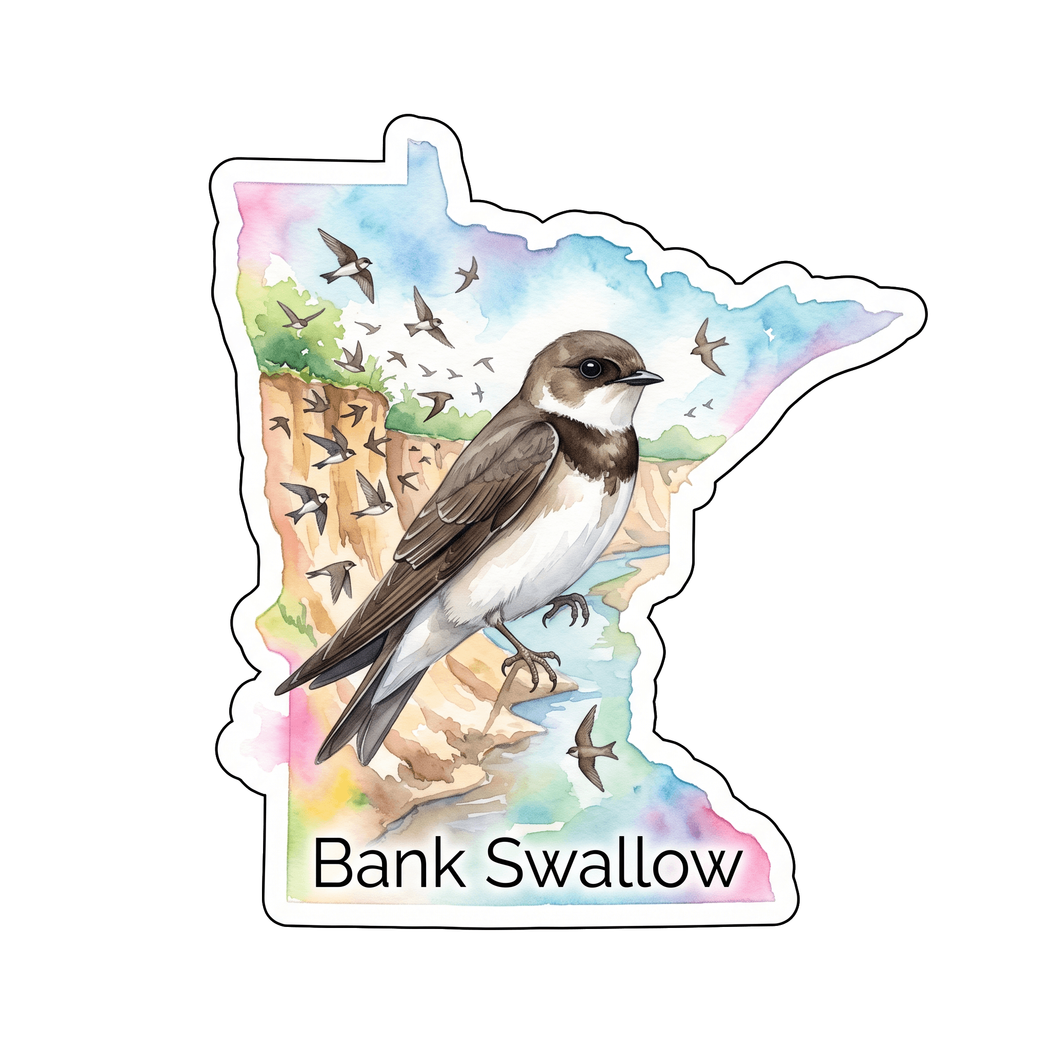 Bank Swallow: Architects of the Riverbank