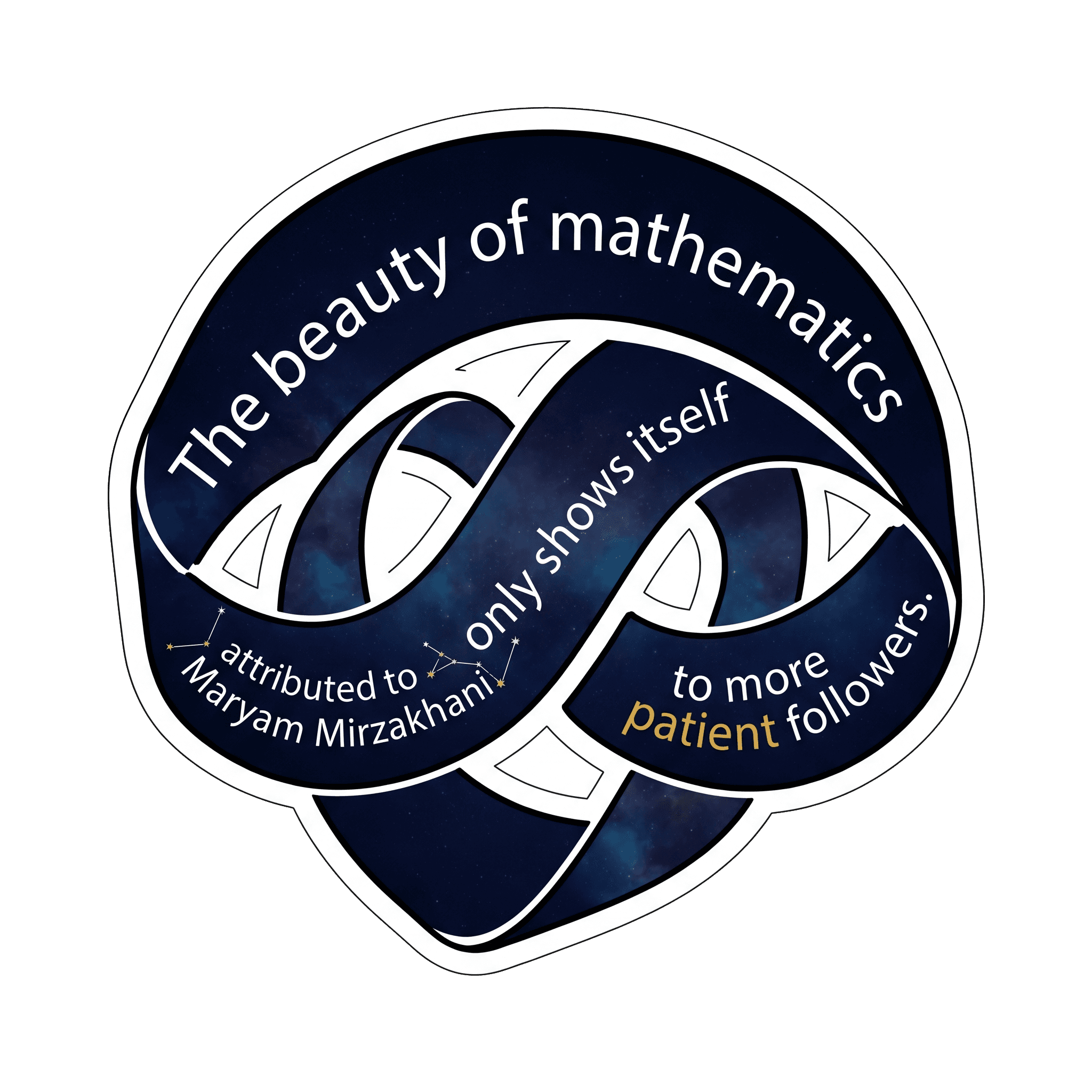 Maryam Mirzakhani Patience in Mathematical Discovery
