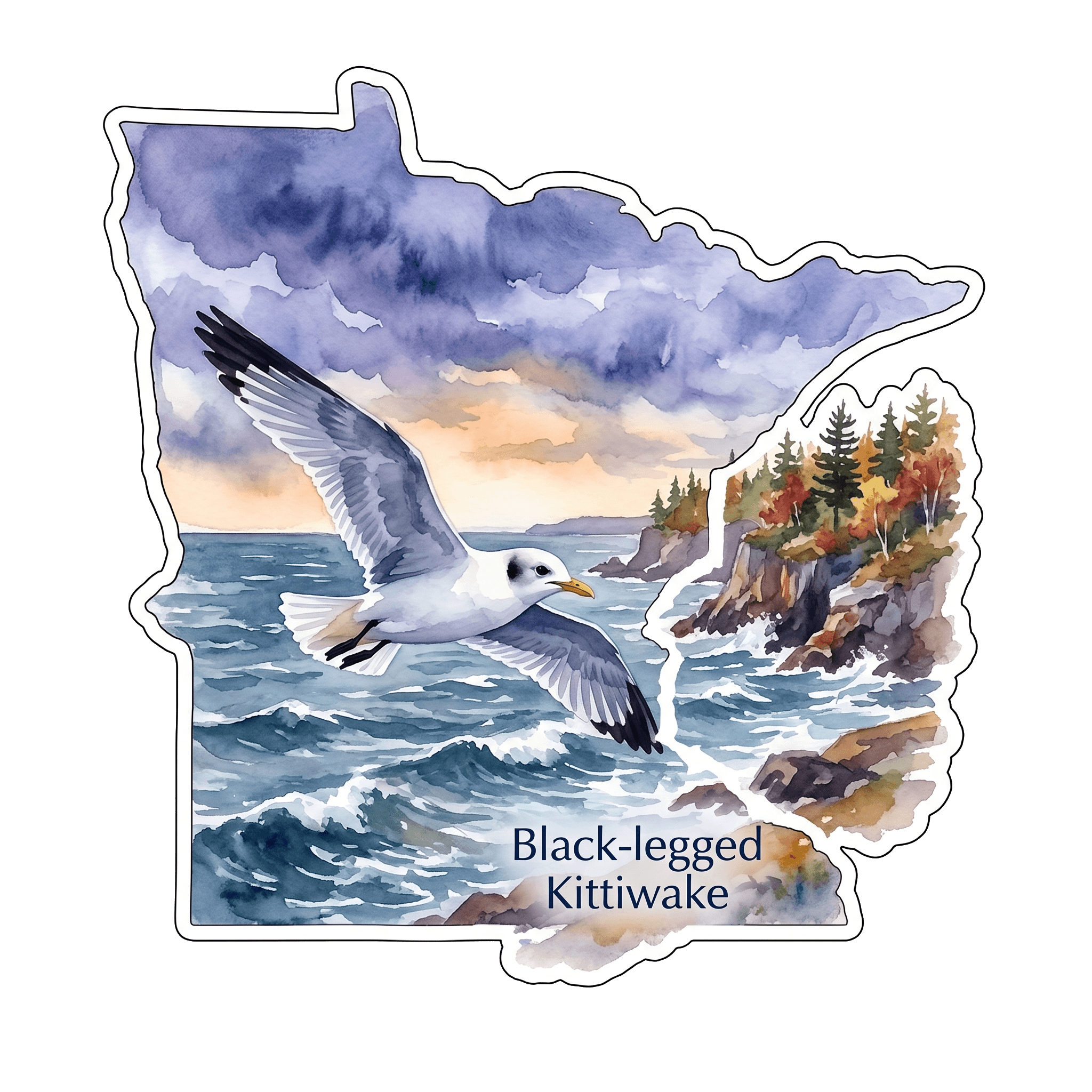 Black-legged Kittiwake: Minnesota's Ocean Gem
