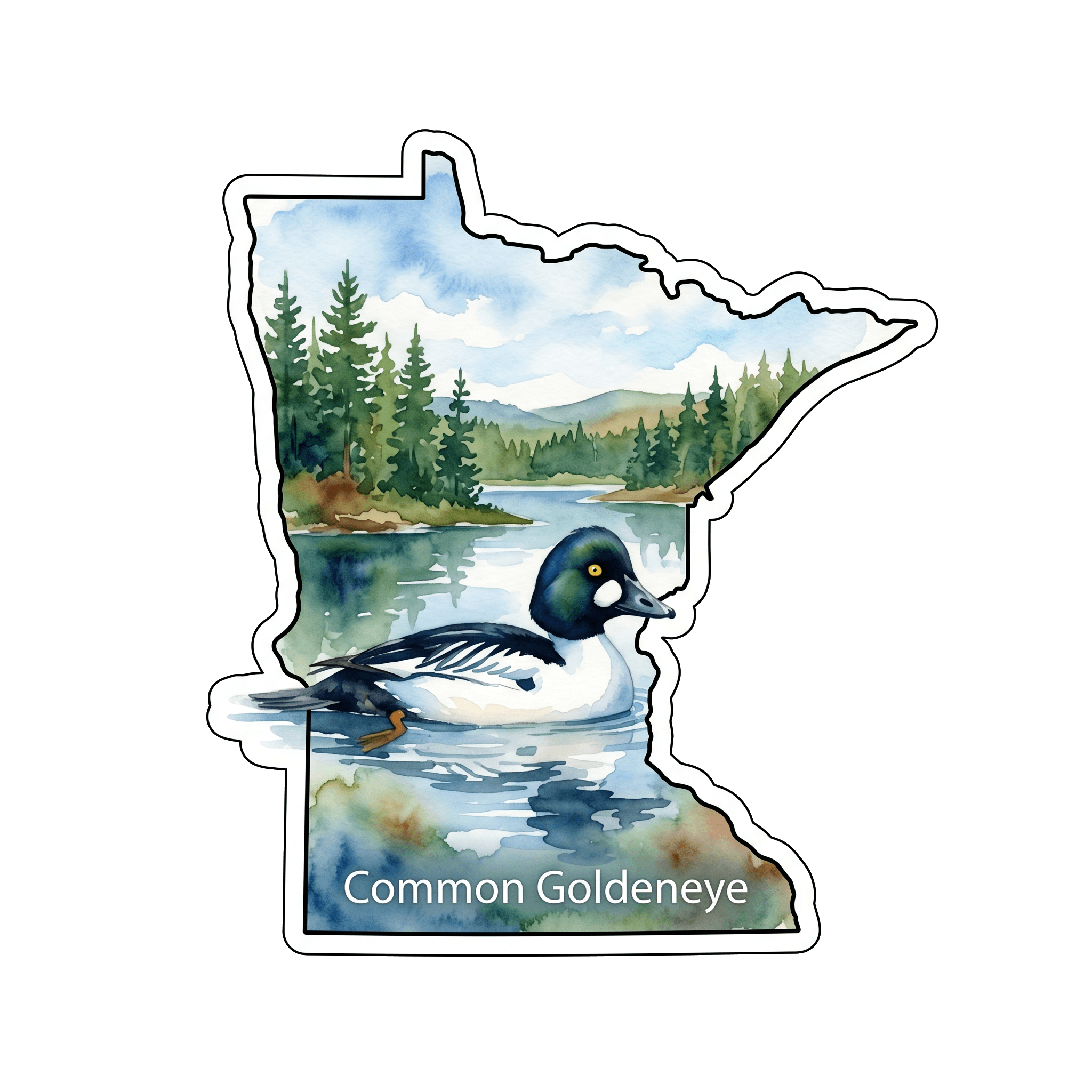 Minnesota's Dashing Goldeneye